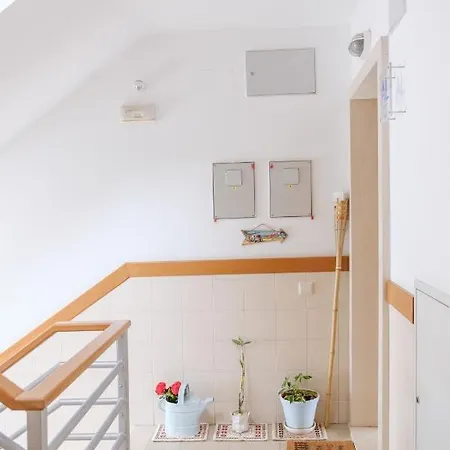 Rito's Paradise Nazaré